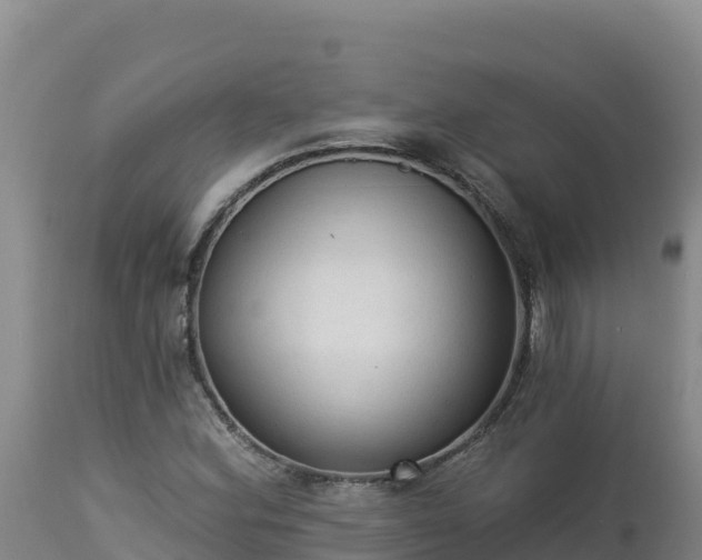 X0000112821164200908281524