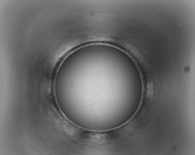X0000112821165200908281524