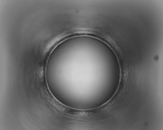 X0000112821167200908281524