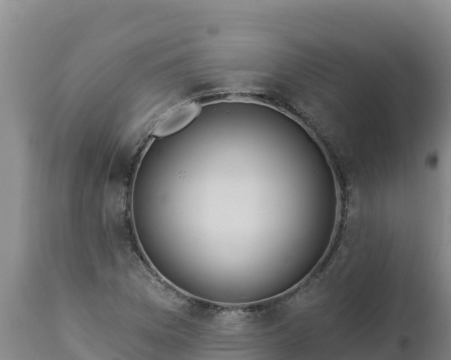 X0000112821169200908281524