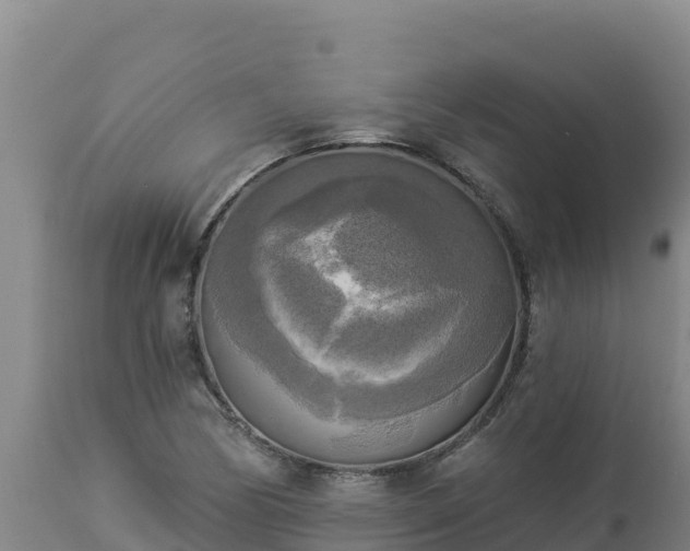 X0000112821170200908281524