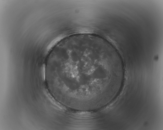 X0000112821171200908281524