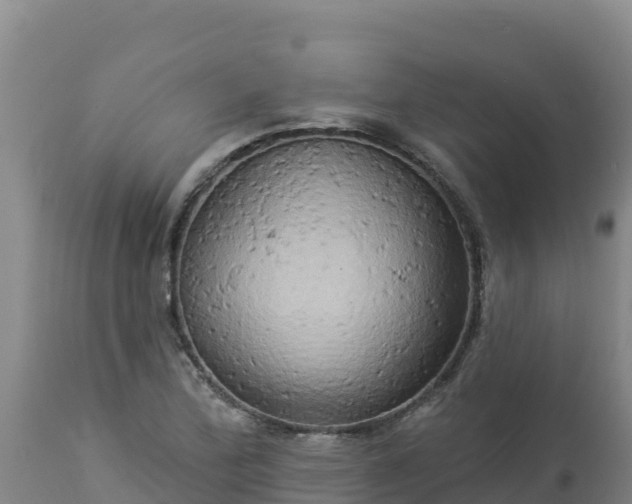 X0000112821172200908281524