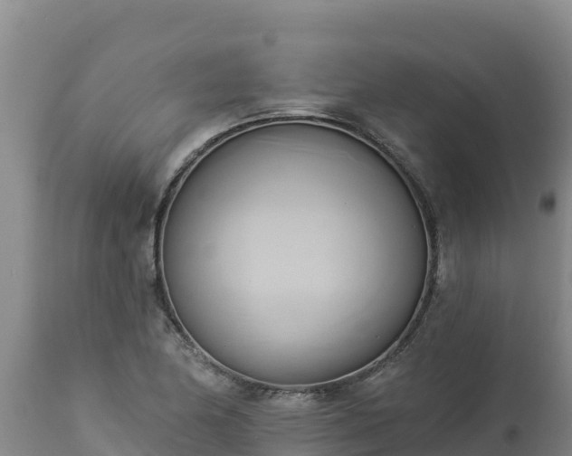 X0000112821174200908281524