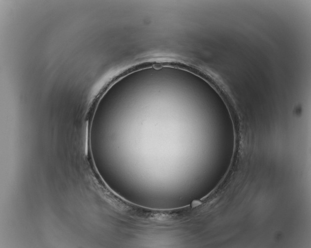 X0000112821175200908281524