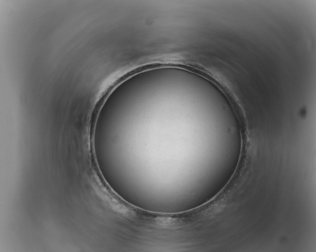 X0000112821176200908281524