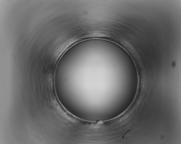 X0000112821177200908281524