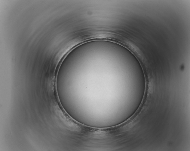 X0000112821178200908281524