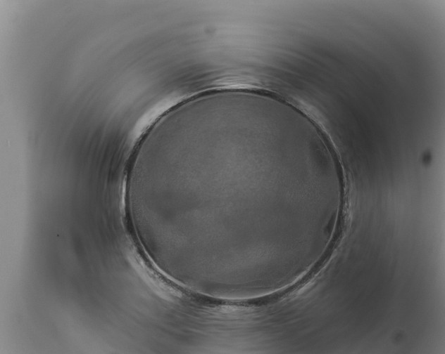 X0000112821179200908281524