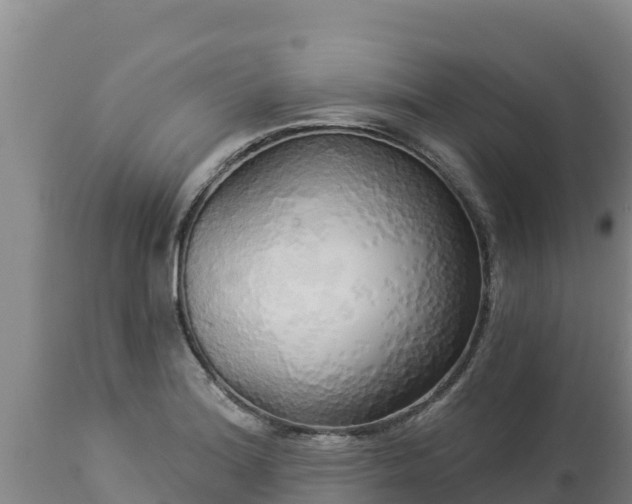 X0000112821180200908281524
