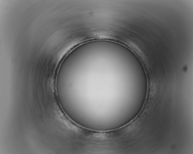 X0000112821182200908281524