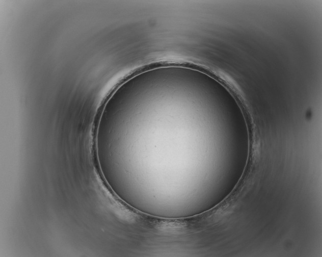 X0000112821183200908281524