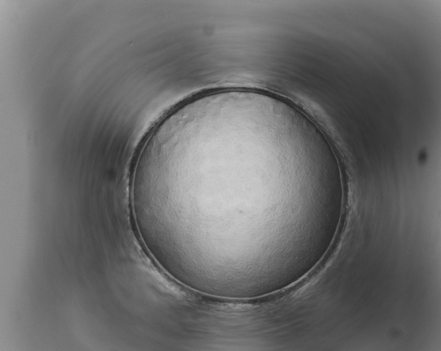 X0000112821184200908281524