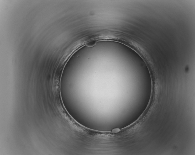 X0000112821185200908281524