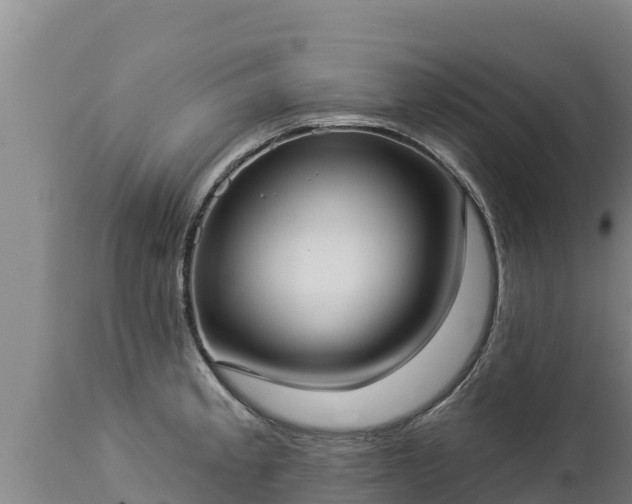 X0000112821189200908281524