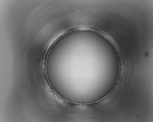 X0000112821190200908281524