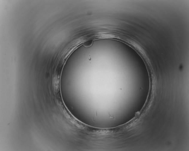 X0000112821193200908281524