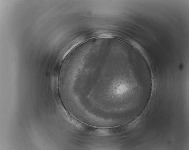X0000112821194200908281523