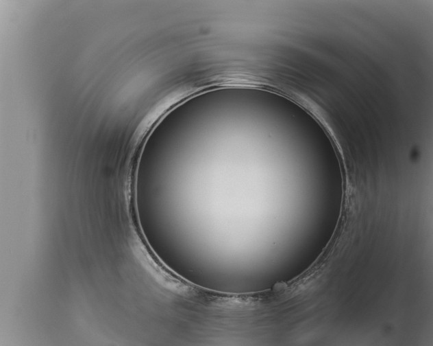 X0000112821195200908281523