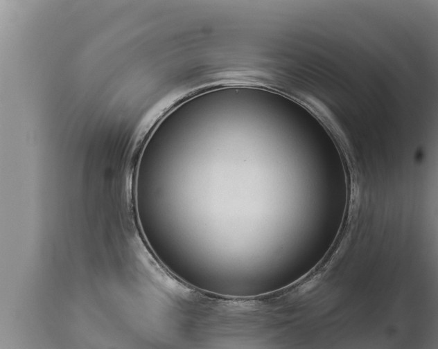 X0000112821196200908281523