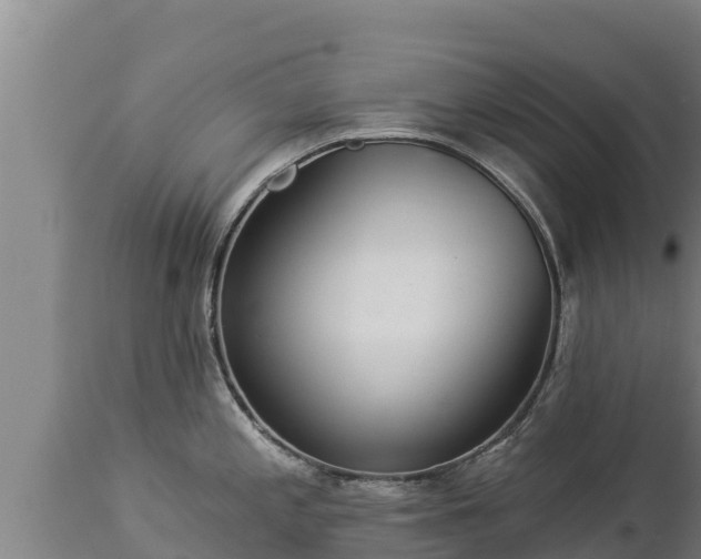 X0000112821197200908281523