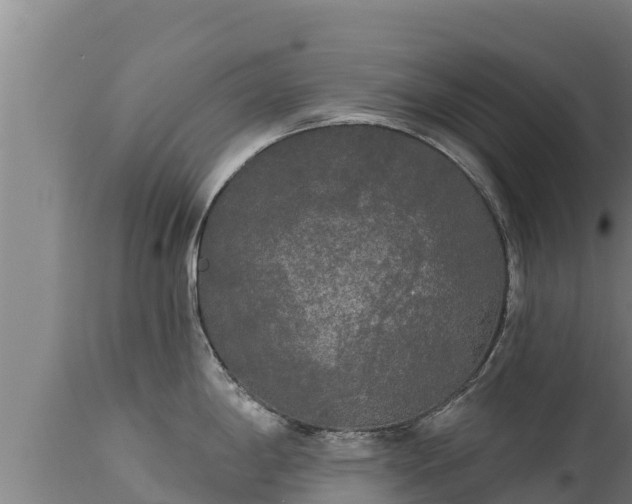 X0000112821198200908281523