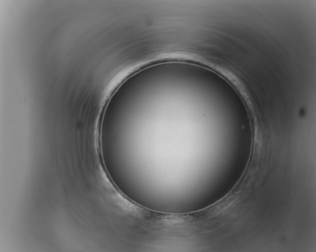 X0000112821199200908281523