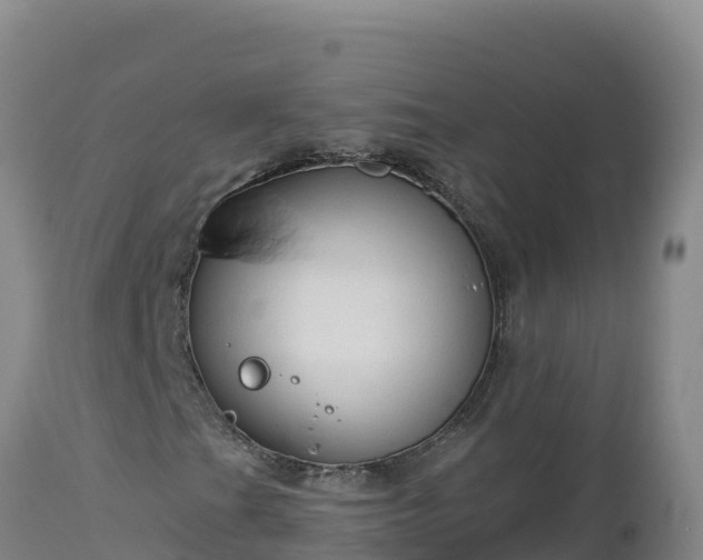 X0000112821201200908281523