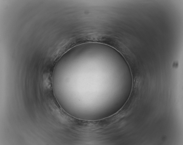 X0000112821202200908281523