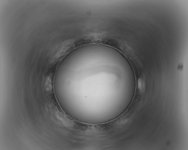 X0000112821203200908281523