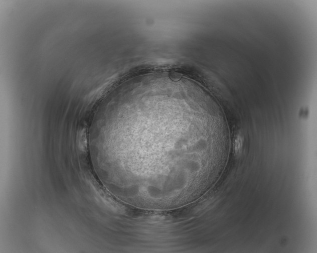 X0000112821204200908281523
