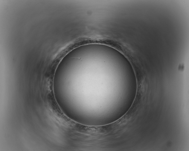 X0000112821205200908281523
