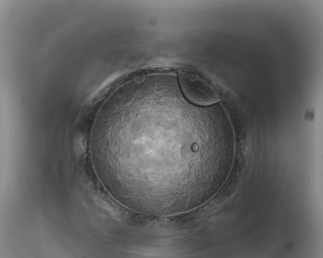 X0000112821206200908281523