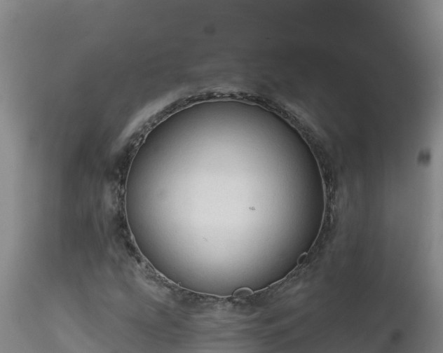 X0000112821207200908281523