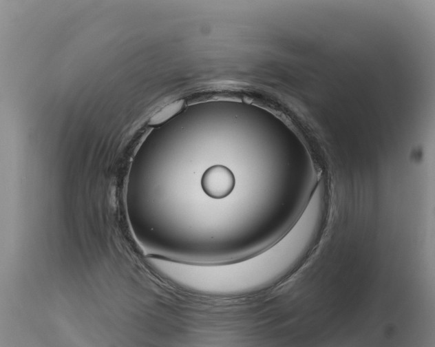 X0000112821209200908281523