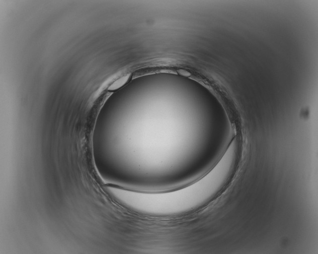 X0000112821210200908281523