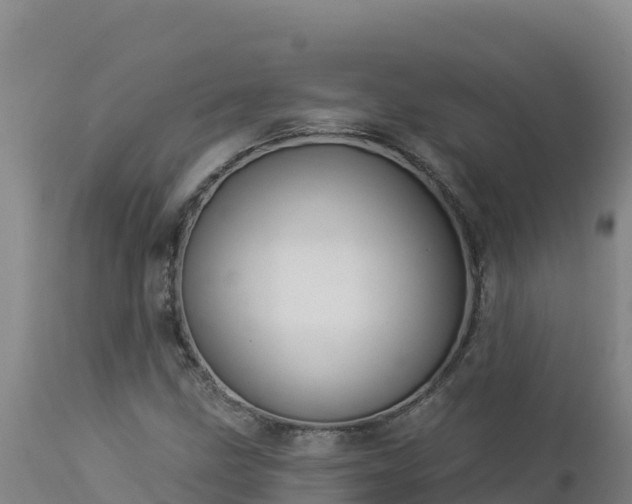 X0000112821211200908281523