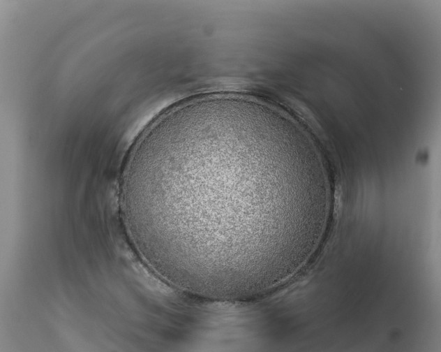 X0000112821212200908281523