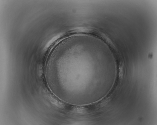 X0000112821213200908281523
