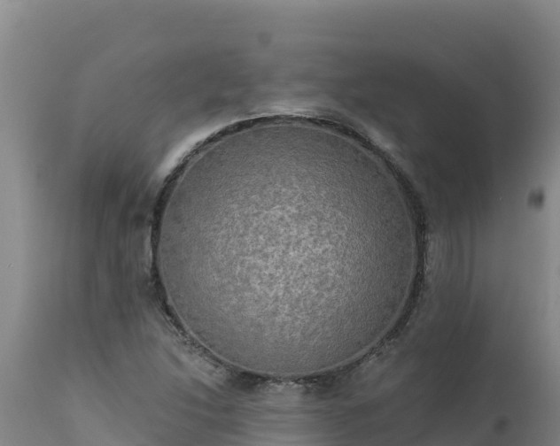 X0000112821214200908281523