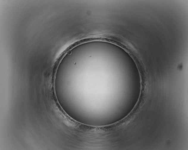 X0000112821216200908281523