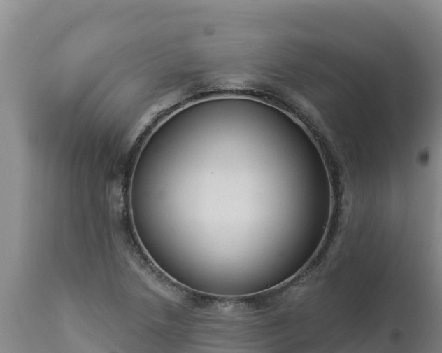 X0000112821218200908281523