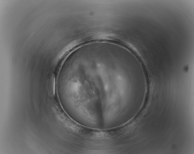 X0000112821219200908281523