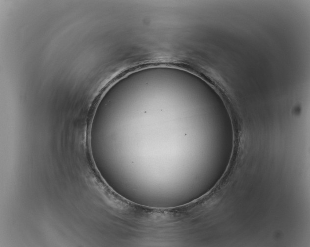 X0000112821220200908281523