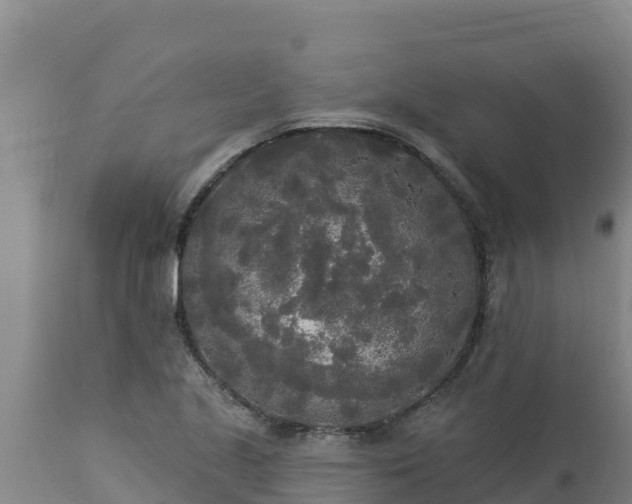 X0000112821221200908281523