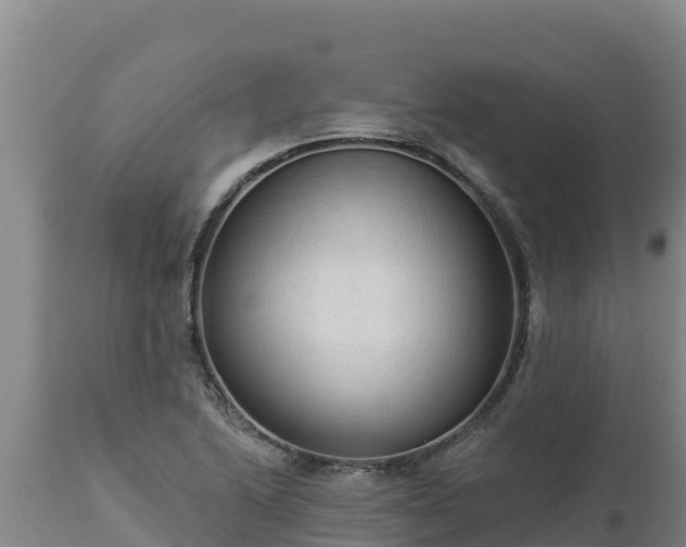 X0000112821222200908281523