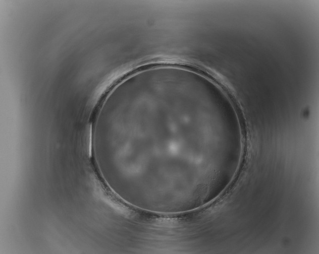 X0000112821223200908281523