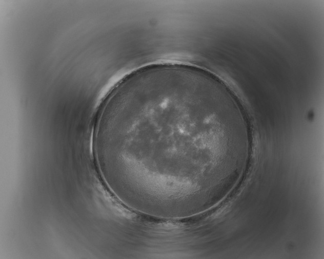 X0000112821224200908281523