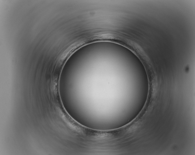 X0000112821225200908281523