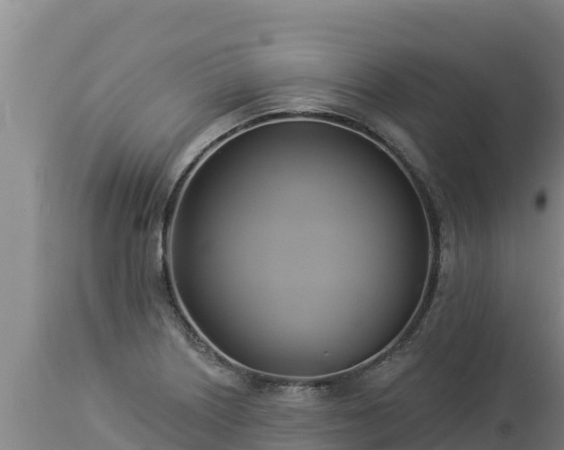 X0000112821226200908281523
